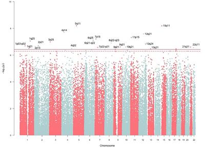 Genetic Variants Related to Cardiometabolic Traits Are Associated to B Cell Function, Insulin Resistance, and Diabetes Among AmeriCan Indians: The Strong Heart Family Study